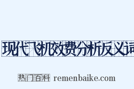 现代飞机效费分析反义词是什么意思的图片